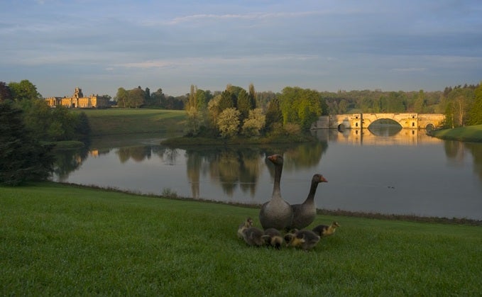 Blenheim Estate: How tech is protecting 'the finest view in England'